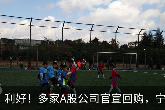 利好！多家A股公司官宣回购，宁德时代单日买入8亿元